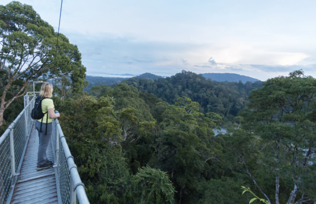 Ulu Temburong National Park